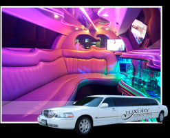 noleggio limousine milano Luxury Limousine Milano