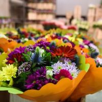 negozi di fiori a buon mercato milano Mercato Floricolo