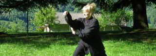 lezioni di chi kung milano Tai Chi Milano - Qigong - Tui Na - Metodo Alessandra Tassi  Studio Professionale