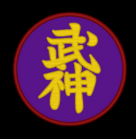 lezioni di ninjutsu milano Bujinkan Zenshin Dojo