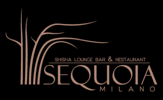 bar chill out con divani milano Sequoia Milano