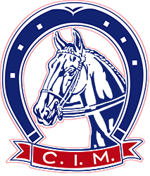 lezioni di equitazione milano Centro Ippico Milanese C.I.M. greve