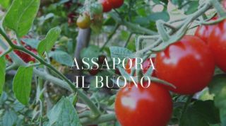 Assapora il buono