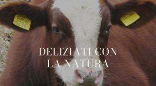 Deliziati con la natura