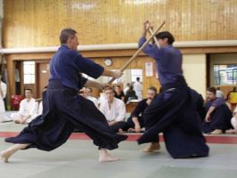 lezioni di ninjutsu milano Aikido - Zanshin Dojo - Milano