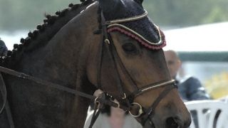 lezioni di equitazione milano Centro Ippico la Meriggia